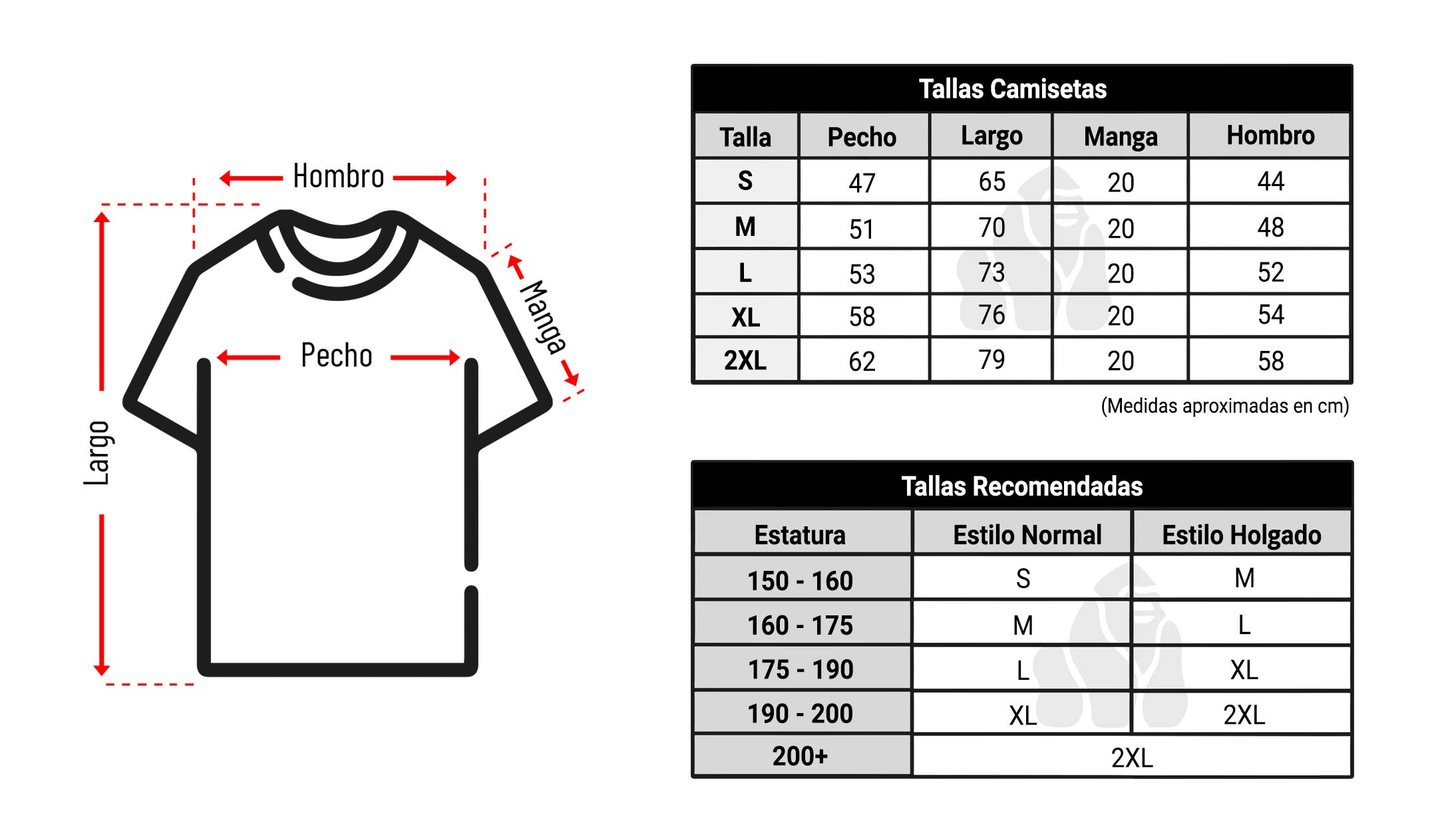 GUIA-TALLAS-VERSION-PC